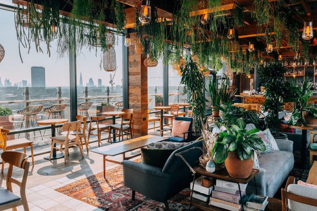 Rooftops at The Nest